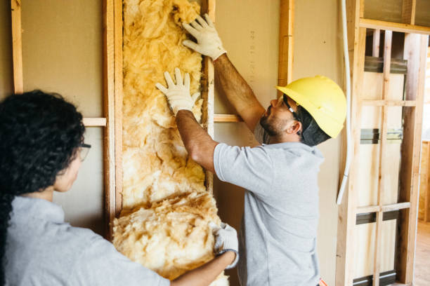 Insulation Inspection Services in Suncook, NH